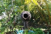 Sandies Bathala Maldives Bathala Island Exterior foto